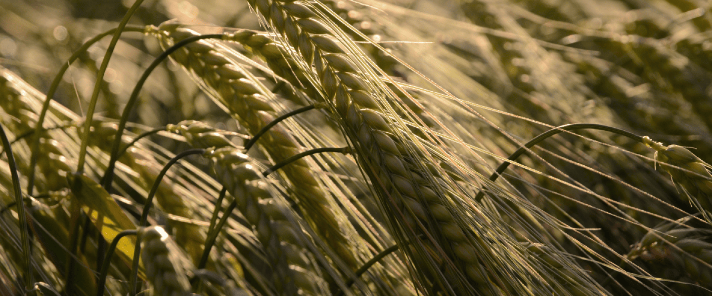 event-010825_sitecover