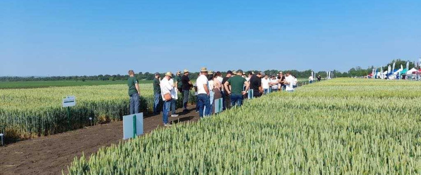field-days-bg
